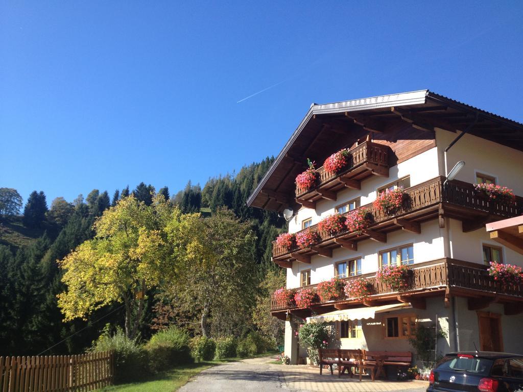 Villa Bauernhof Bachgut à Mühlbach am Hochkönig Extérieur photo